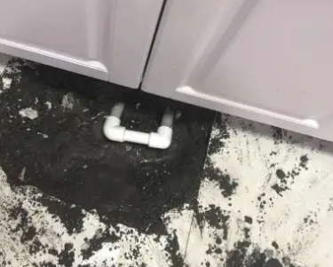 额济纳旗查漏水哪家好